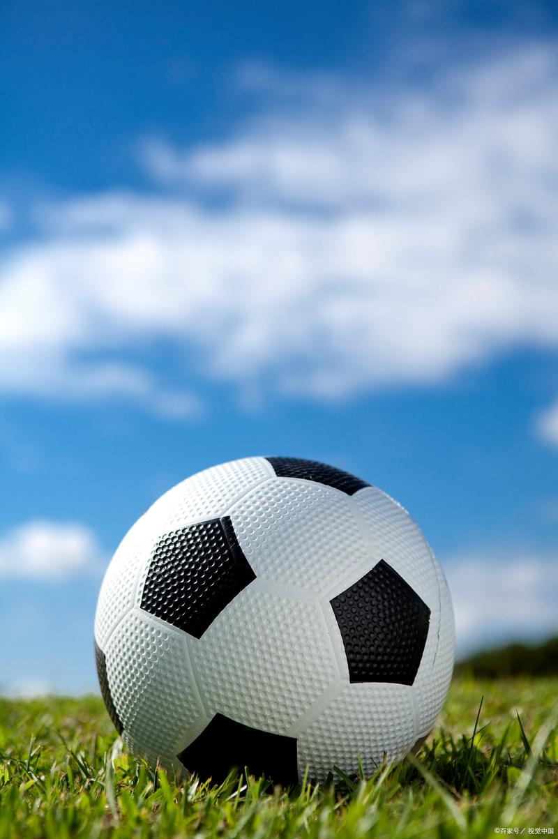 Shopping gala focuses on quality growth AI dividends